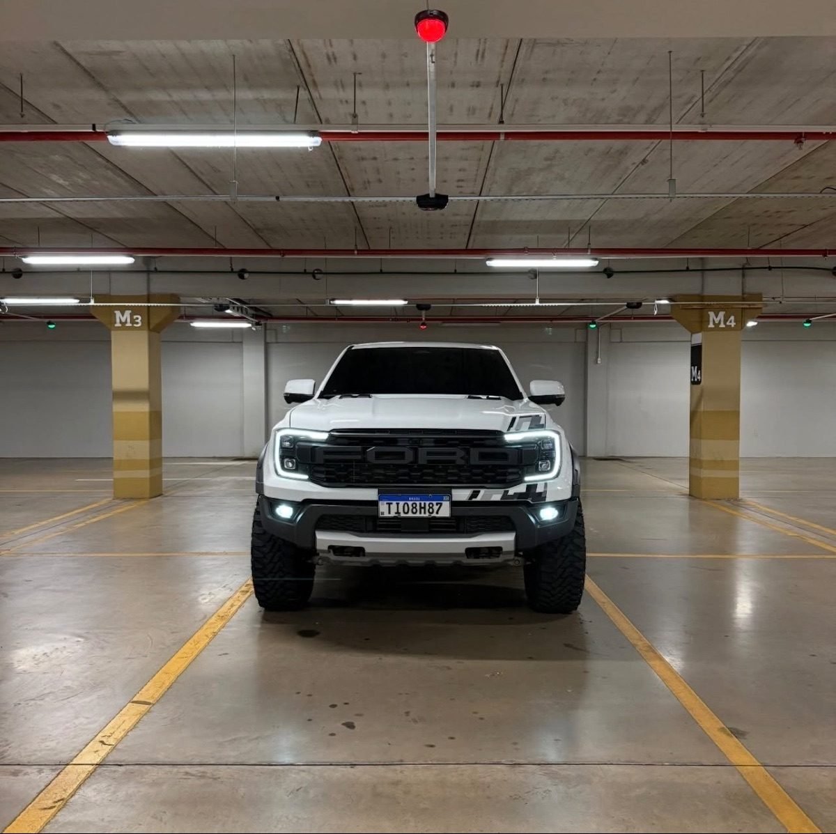 Raptor